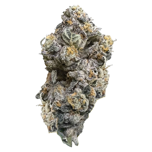HighXotic - Royal Dive #3: Hindu Glue - Indica - 3.5g