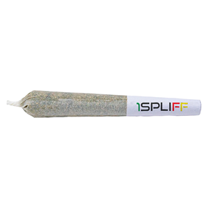 1Spliff - Orange Rntz Pre-Roll - Hybrid - 7x0.5g
