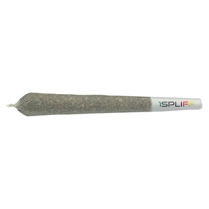 1Spliff - Biscotti Pre-roll - Hybrid - 2x1g