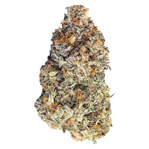 BLK MKT - Britscotti - Indica - 7g