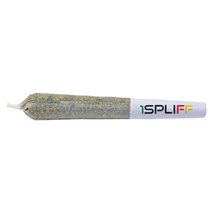 1Spliff - Grape Escape Pre-roll - Hybrid - 1x0.5g
