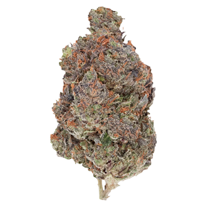 Pistol and Paris - Diablo - Indica - 7g