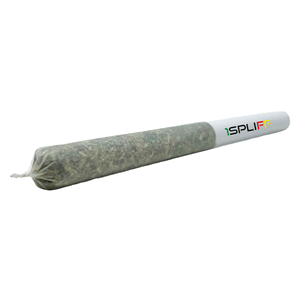 1SPLIFF - Island Pink Pre-Roll - Indica - 10x0.35g