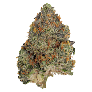 Pistol and Paris - Blue Zushi - Indica - 3.5g