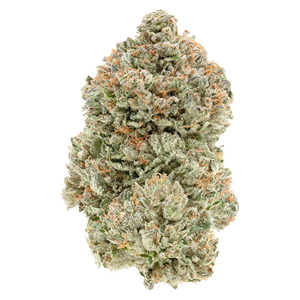 1964 - Stinky Pinky - Indica - 28g
