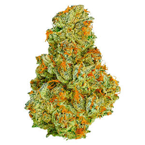 Coterie - Electric Daisy - Sativa - 7g