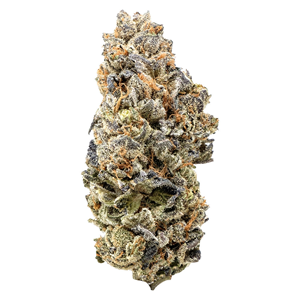Queen of the Underground - Candy Apple - Sativa - 28g